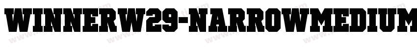 WinnerW29-NarrowMedium Regular字体转换